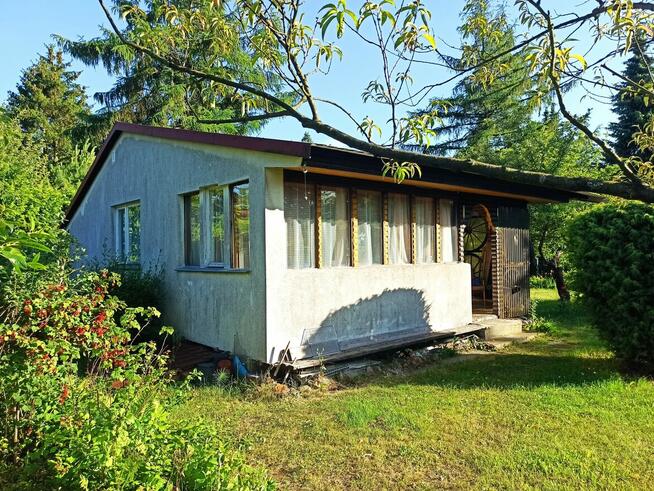 Słoneczna działka 800m² / ROD Elektron Szczaki