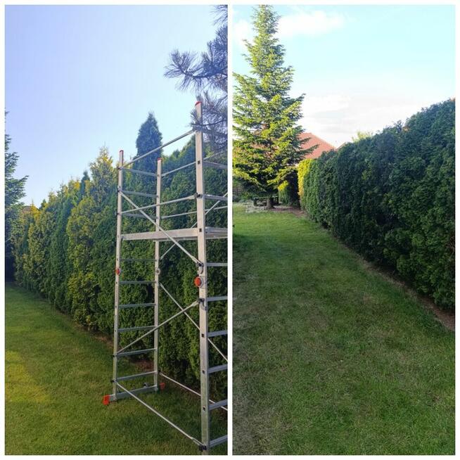 Usługi pielęgnacji ogrodów