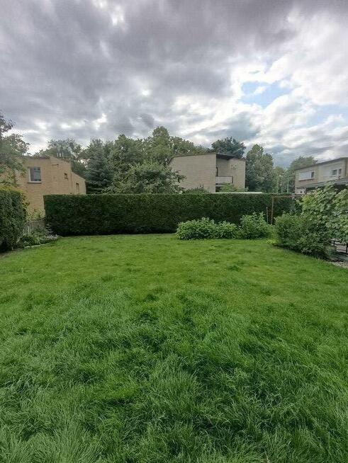 Usługi pielęgnacji ogrodów