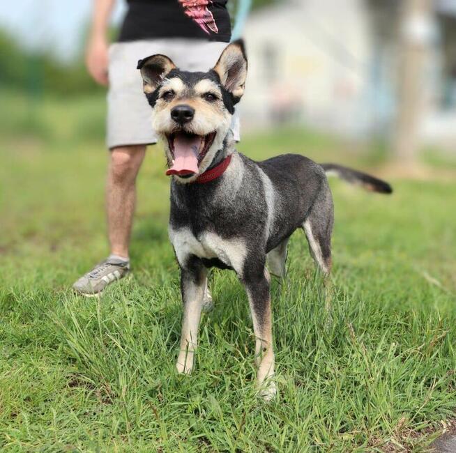 Zjawiskowy Gutek po metamorfozie!