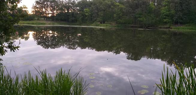 Mors szuka... kogoś by się ogrzać..