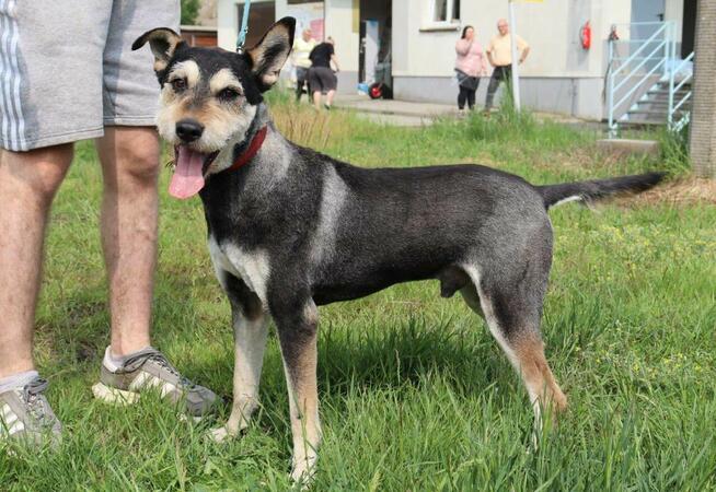 Zjawiskowy Gutek po metamorfozie!