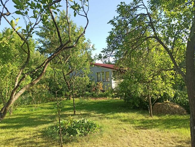 Słoneczna działka 800m² / ROD Elektron Szczaki