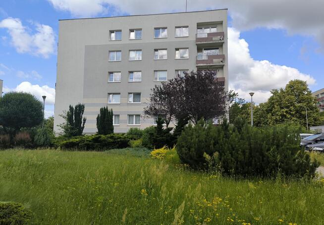 Dwupokojowe z balkonem w dzielnicy Północ+ Wyposażenie