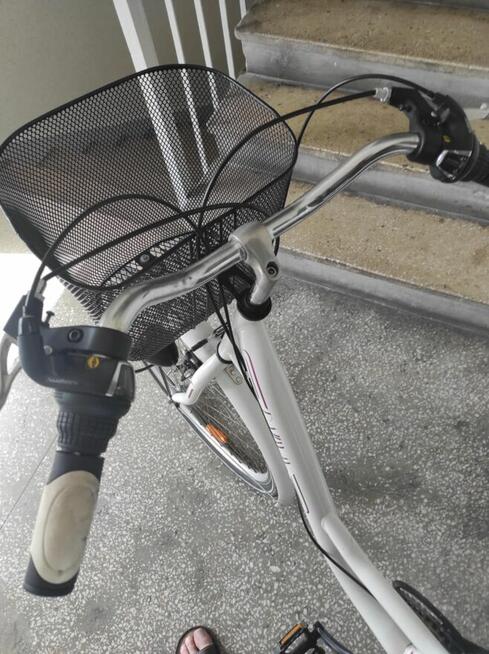 Rower Raway dla kobiety