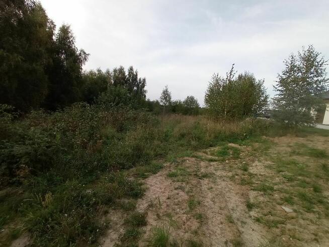 Koszenie, czyszczenie działek