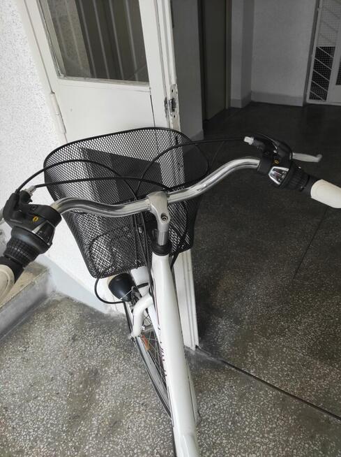 Rower Raway dla kobiety