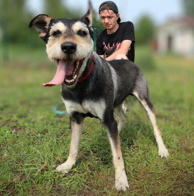 Zjawiskowy Gutek po metamorfozie!