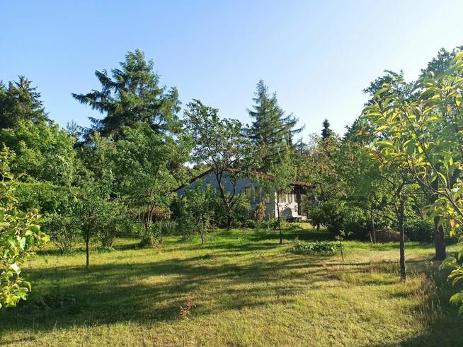 Słoneczna działka 800m² / ROD Elektron Szczaki