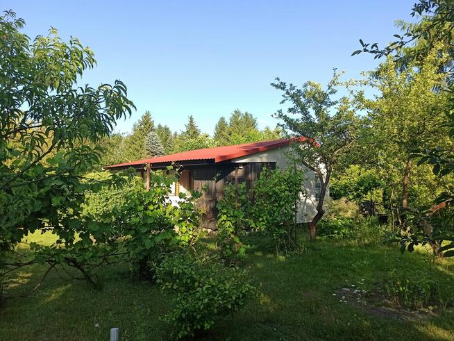 Słoneczna działka 800m² / ROD Elektron Szczaki