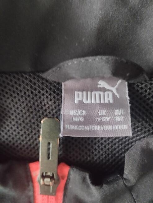 NEYMAR bluza sportowa z autografem Puma edycja limitowana O