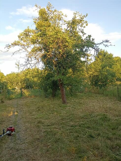 Działka ROD wrocław Brochów