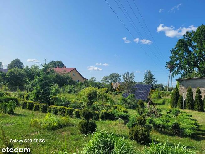 Sprzedam dom z dużą działką i budynkami gospodarczymi