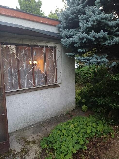 Dzialka ROD im Lotnictwa Polskiego w Poznaniu