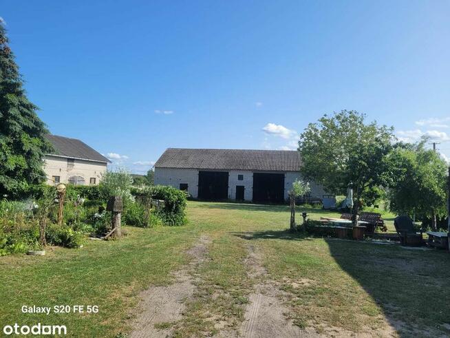 Sprzedam dom z dużą działką i budynkami gospodarczymi