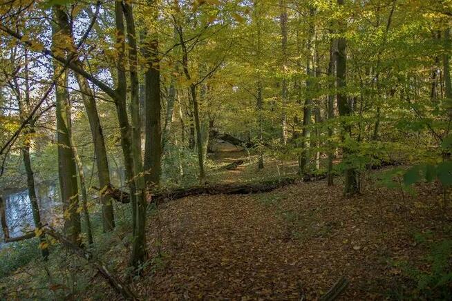 Sprzedam działkę budowlaną 1000m2