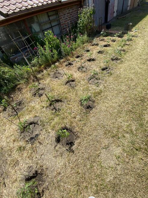 Wynajmę pokój w domu jednorodzinnym