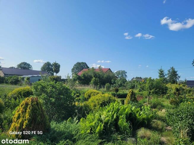 Sprzedam dom z dużą działką i budynkami gospodarczymi