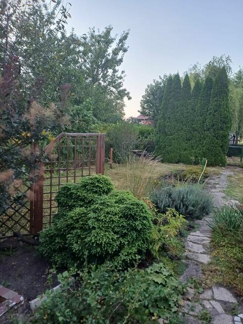 Dzialka ROD im Lotnictwa Polskiego w Poznaniu