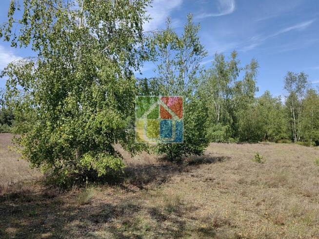 Działka pod zabudowę 2600 m2 w okolicy Szczawina