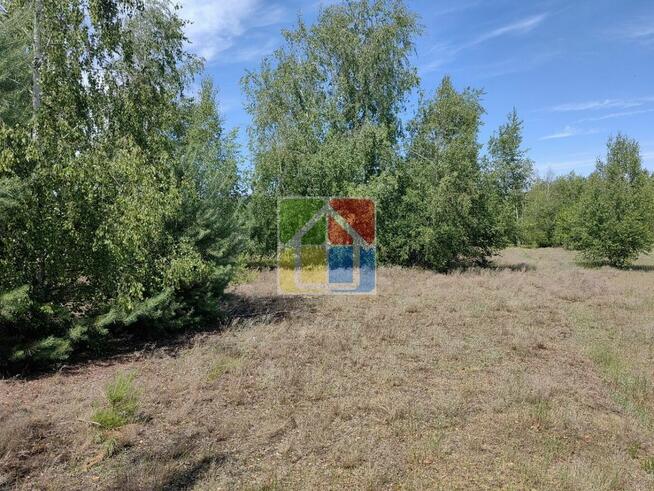 Działka pod zabudowę 2600 m2 w okolicy Szczawina