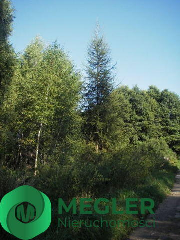 Ciekawa działka w cichej okolicy