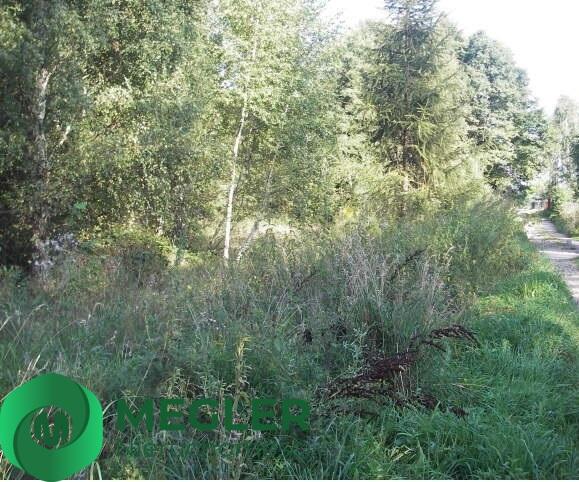 Ciekawa działka w cichej okolicy