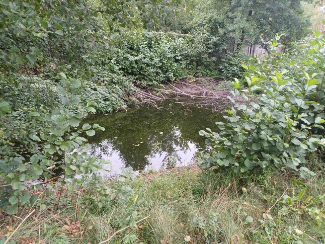 Dom Międzyborów gm. Jaktorów,