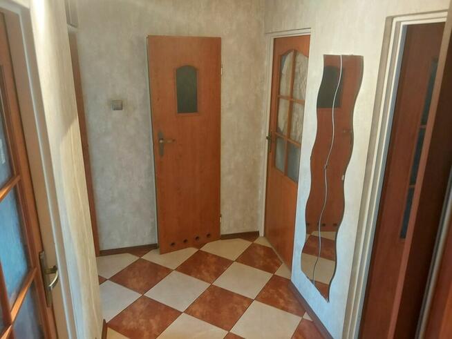 Mieszkanie Skierniewice, Władysława Orkana