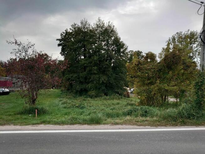 Działka budowlana Korytów gm. Radziejowice, Główna