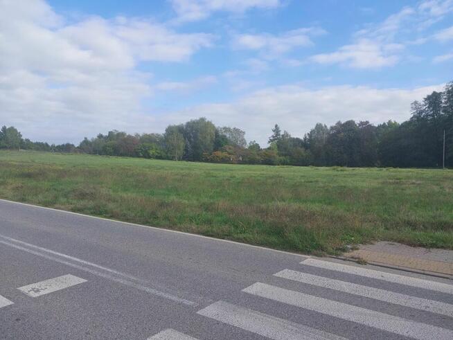 Działka inwestycyjna Radziejowice-Parcel gm. Radziejowice,