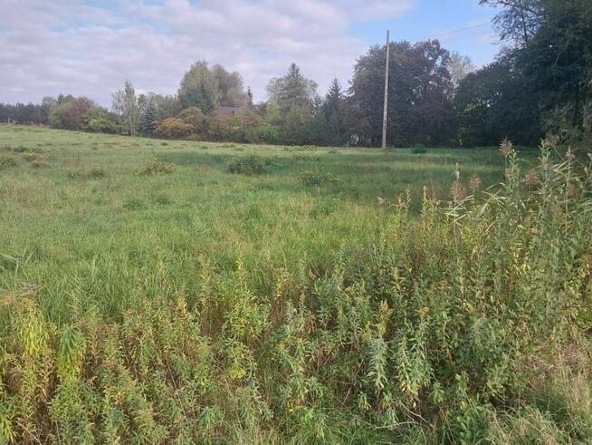 Działka inwestycyjna Radziejowice-Parcel gm. Radziejowice,