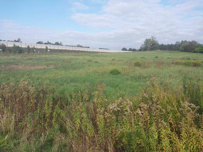 Działka inwestycyjna Radziejowice-Parcel gm. Radziejowice,