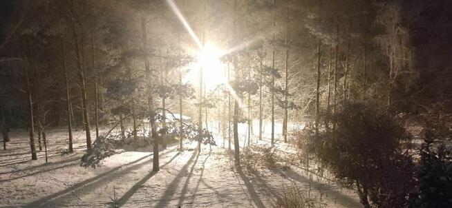 Mieszkanie Płock, Kutnowska