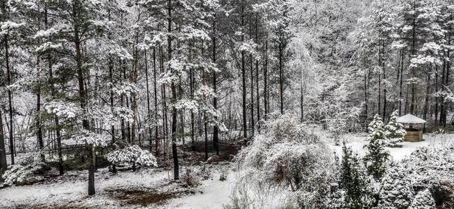 Mieszkanie Płock, Kutnowska