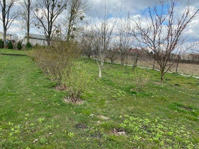 Działka rolna Koczargi Nowe gm. Stare Babice, Wiosenna