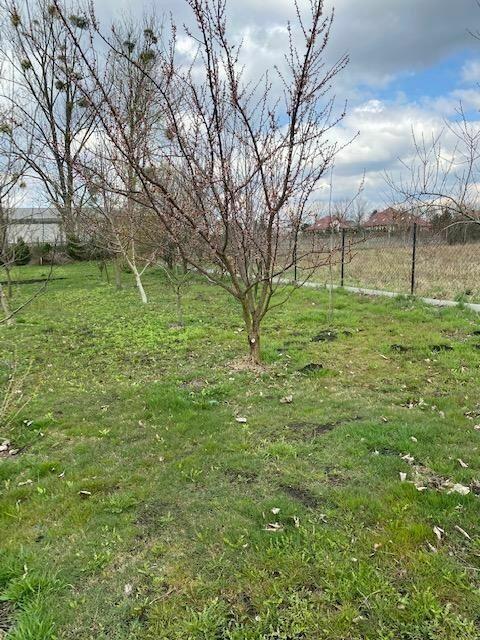 Działka rolna Koczargi Nowe gm. Stare Babice, Wiosenna