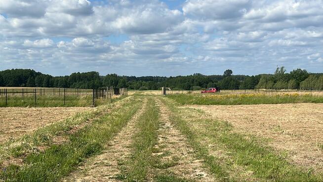 Lipienice Dolne k Szydłowca działki budowlane 1051m2, 1081m2