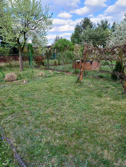 Dzialka ROD im Lotnictwa Polskiego w Poznaniu