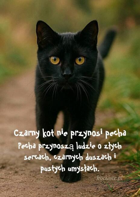 Szukam kobiety I miłości prawdziwej.