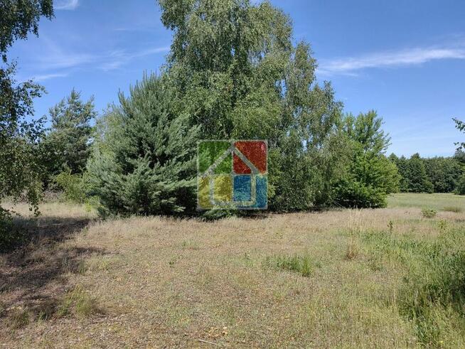 Działka pod zabudowę 2600 m2 w okolicy Szczawina