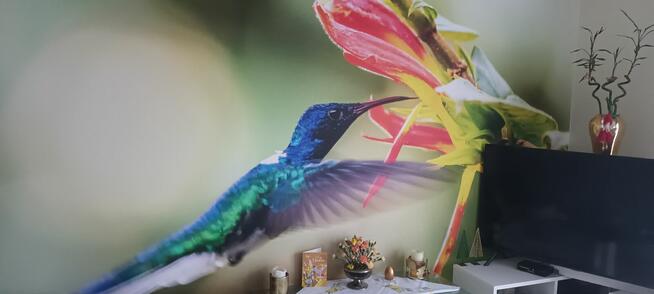 Sprzedam dom 210m Zdrowie