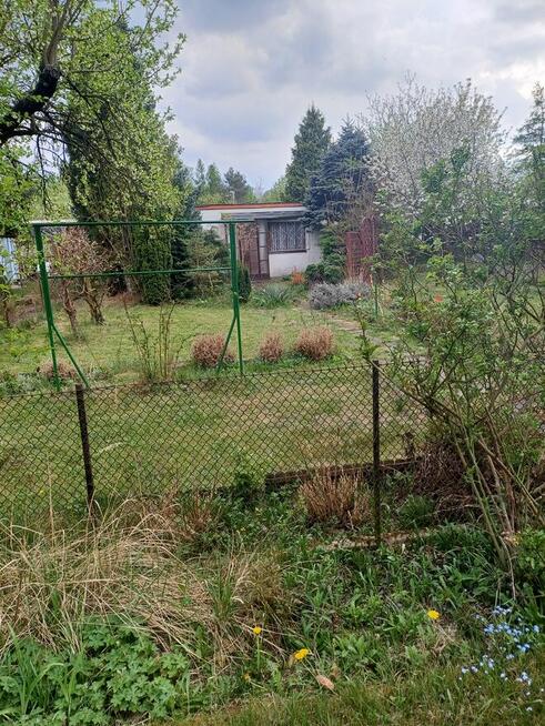 Dzialka ROD im Lotnictwa Polskiego w Poznaniu