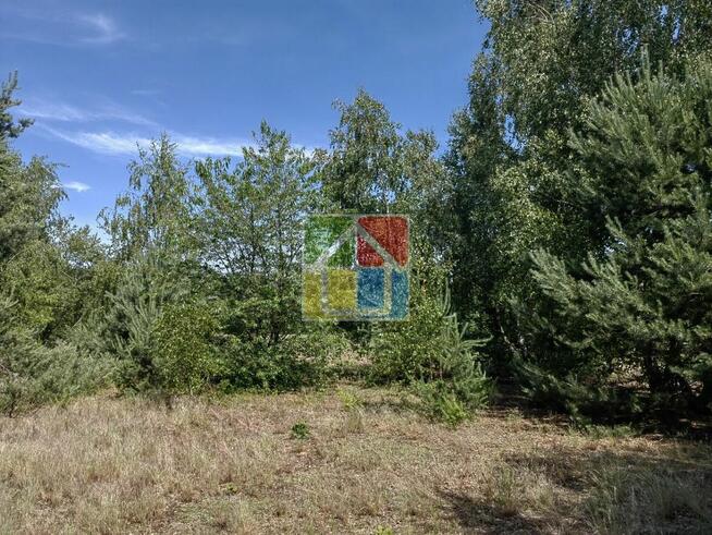 Działka pod zabudowę 2600 m2 w okolicy Szczawina