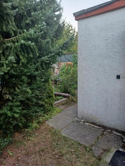 Dzialka ROD im Lotnictwa Polskiego w Poznaniu