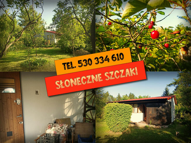 Ogródek działkowy 800m² / ROD Elektron Szczaki