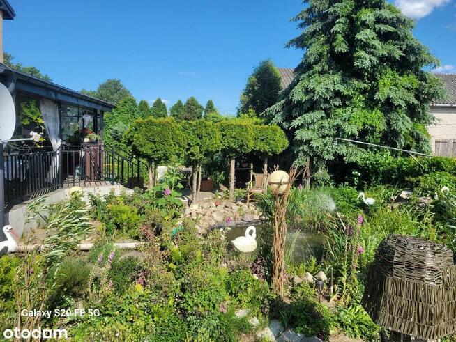 Sprzedam dom z dużą działką i budynkami gospodarczymi