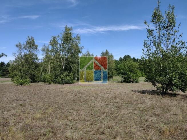 Działka pod zabudowę 2600 m2 w okolicy Szczawina