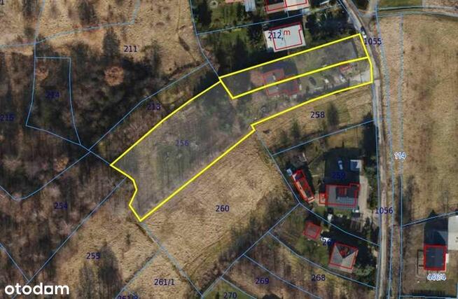 Syndyk sprzeda nieruchomość