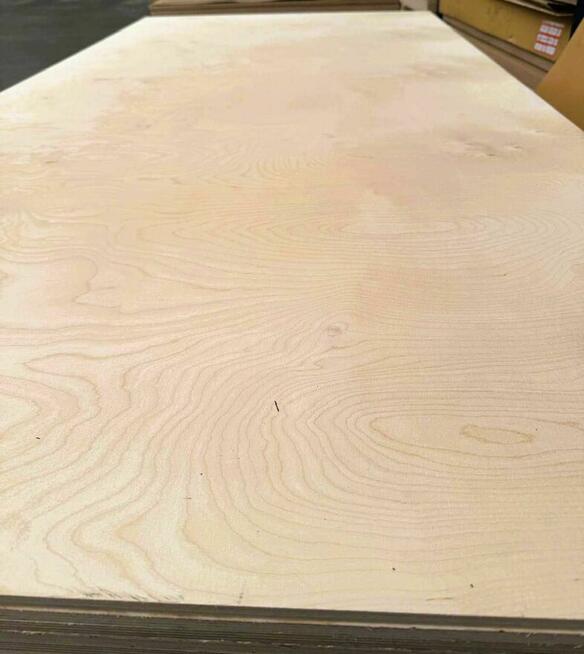 Sklejka Brzozowa Wodoodporna